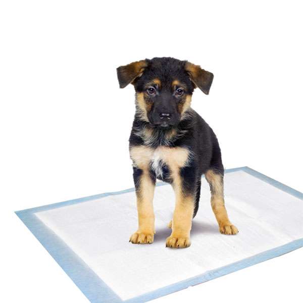 Karlie - Flamingo Puppy Pads Trainingsmatten - 35 x 45 cm / 10 Stk