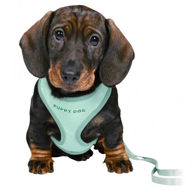 Trixie Junior Puppy-Softtuig met Lijn - lichtgrijs