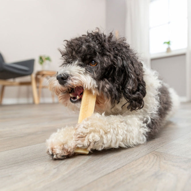 Trixie - Kauwkaas - 70 g