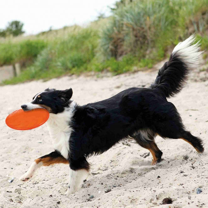 Trixie - TPR Frisbee, drijvend - 18 cm