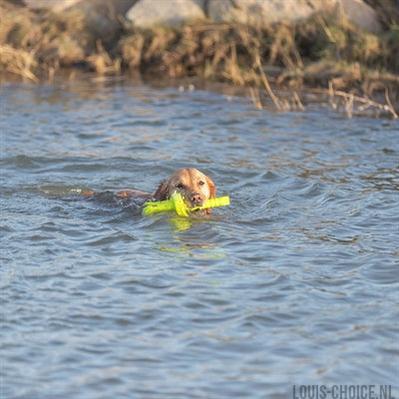 Trixie Dog Activity Mot-Aqua Apporteer Dobber Limegroen