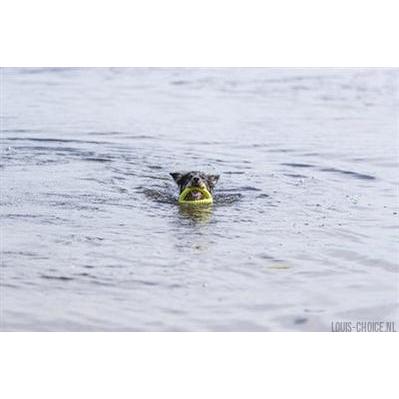 Trixie Aqua Toy Trekspeeltje Tpr Lime