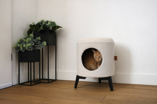 D&D Kattenhuis Jean - wit