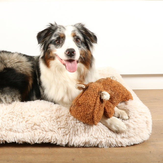 D&D Hondenspeelgoed Emmy Teddystof - bruin