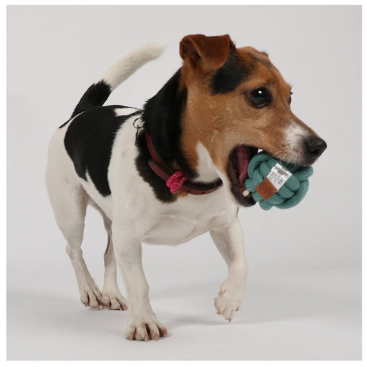 D&D - Knot Bal Skip - Blauw - 6 cm