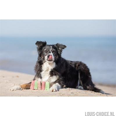 Trixie Ice Pop Groen