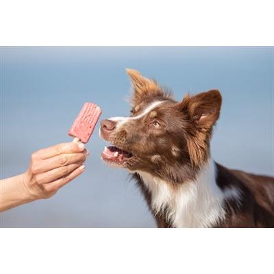 Trixie Ice Pop Rood