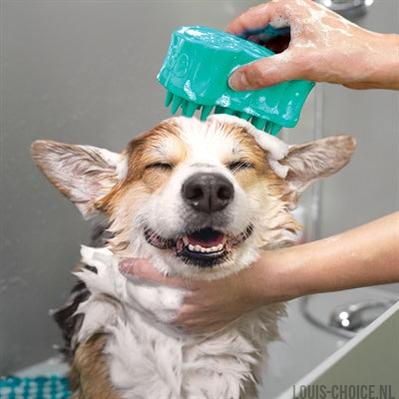 Kong Zoomgroom Bubbles