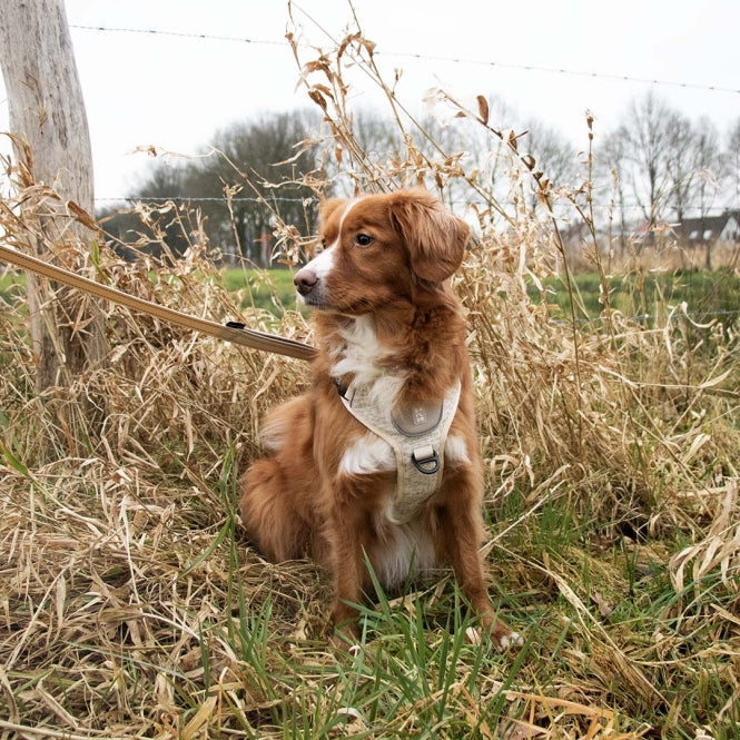 Duvoplus EXPLOR Ultimate Fit No-Pull-Tuigje - antiek wit - S - 35-45cm - 40-52cm