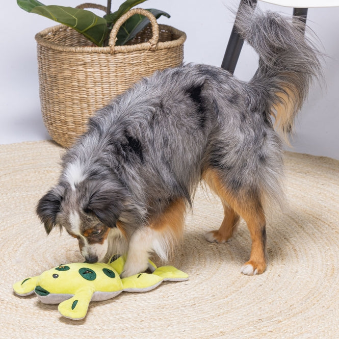 Beeztees - Verstoppertje Kikker