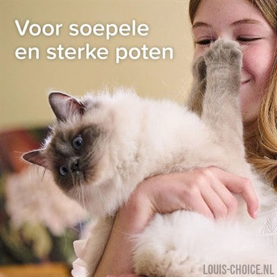 Beaphar Voetenzolenspray-BEAPHAR-Louis Choice