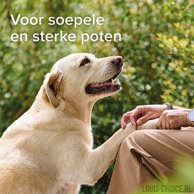 Beaphar Voetenzolenspray-BEAPHAR-Louis Choice