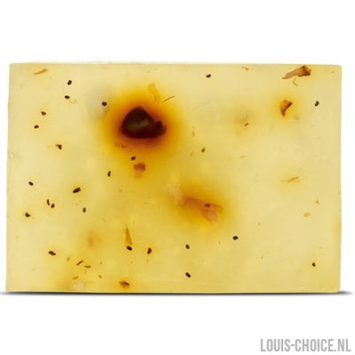 Beloved Vegan Pet Shampoo Bar-BELOVED-Louis Choice