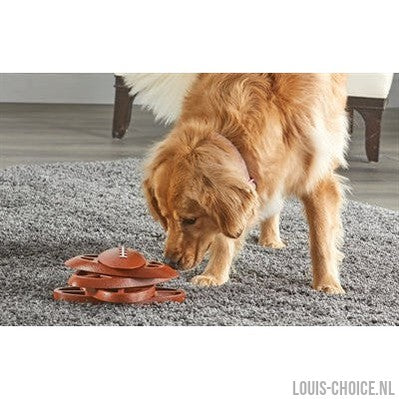 Brightkins Touchdown Time Treat Puzzle-BRIGHTKINS-Louis Choice