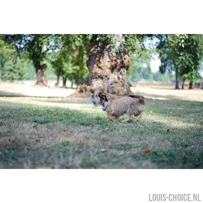 Chuckit Hondenspeelgoed The Whistler-CHUCKIT-Louis Choice