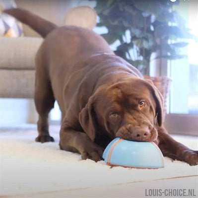 Chuckit Indoor Slider-CHUCKIT-Louis Choice