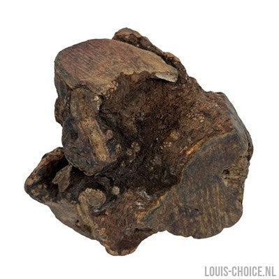 Dog Woodzzz Kauwwortel Met Olijfolie-DOG WOODZZZ-Louis Choice