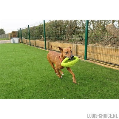 Happy Pet Grubber Interactieve Rugbybal-HAPPY PET-Louis Choice