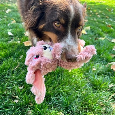 Kong Scrumplez Bunny Pluche Met Piep Roze-KONG-Louis Choice