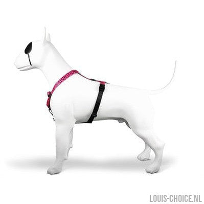 Morso Hondentuig H-Tuig Gerecycled Bubble Leo Roze-MORSO-Louis Choice