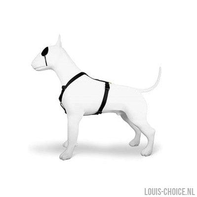 Morso Hondentuig H-Tuig Gerecycled Gold Caviar Goud-MORSO-Louis Choice