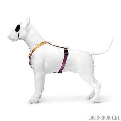 Morso Hondentuig H-Tuig Gerecycled Jungle Drum Oranje-MORSO-Louis Choice