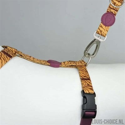 Morso Hondentuig H-Tuig Gerecycled Jungle Drum Oranje-MORSO-Louis Choice
