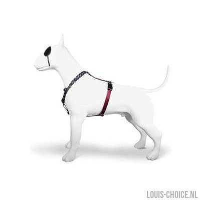 Morso Hondentuig H-Tuig Gerecycled Power Flow Zwart-MORSO-Louis Choice