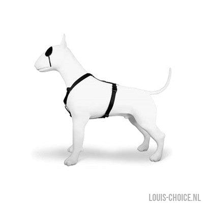 Morso Hondentuig H-Tuig Gerecycled Pureness Zwart-MORSO-Louis Choice