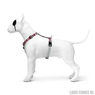 Morso Hondentuig H-Tuig Gerecycled Skyline Rood / Roze-MORSO-Louis Choice