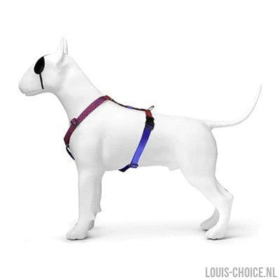 Morso Hondentuig H-Tuig Gerecycled Urban Lizard Rood-MORSO-Louis Choice