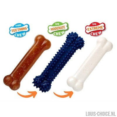 Nylabone Puppy Chew Puppy Starter Kit Chicken-NYLABONE-Louis Choice