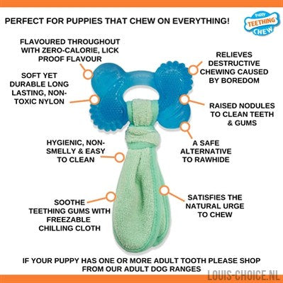 Nylabone Puppy Freezer Bone With Wash Cloth Pindakaassmaak-NYLABONE-Louis Choice