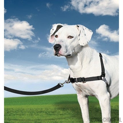 Petsafe Easy Walk Anti-Trek Tuig Zwart-PETSAFE-Louis Choice