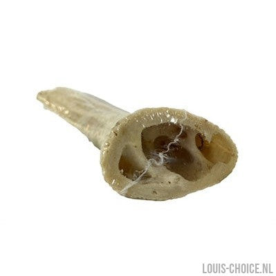 Petsnack Hoorn Core-PETSNACK-Louis Choice