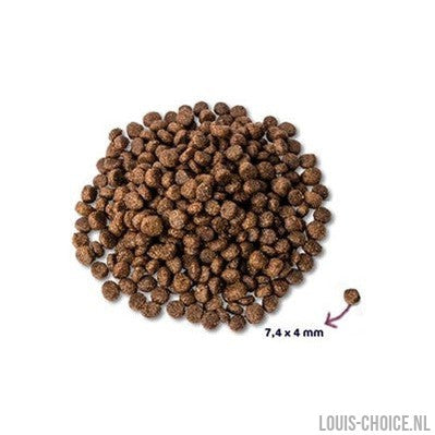 Renske Super Premium Puppy Kip / Lam-RENSKE-Louis Choice