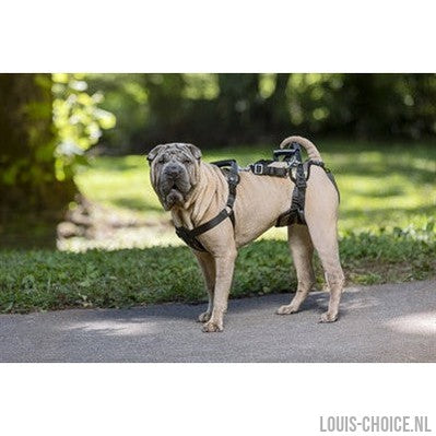 Solvit Petsafe Carelift Voor En Achter-SOLVIT-Louis Choice