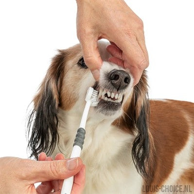 Trixie 3-Koppige Tandenborstel Hond / Kat Wit / Grijs-TRIXIE-Louis Choice