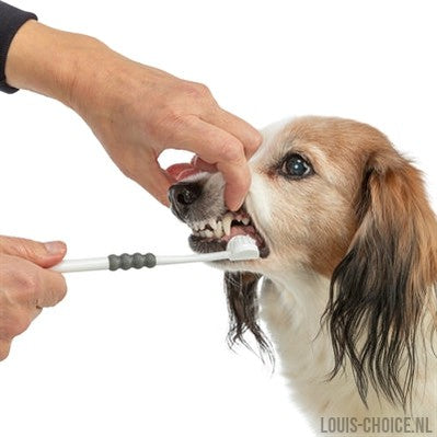 Trixie 3-Koppige Tandenborstel Hond / Kat Wit / Grijs-TRIXIE-Louis Choice