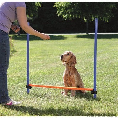 Trixie Dog Activity Agility Horde Blauw / Oranje-TRIXIE-Louis Choice