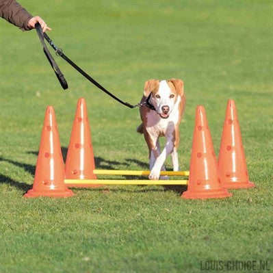 Trixie Dog Activity Hordenset-TRIXIE-Louis Choice