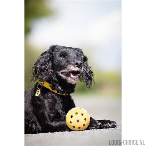 Trixie Gatenbal Natuurrubber Met Bel Voor Blinde Of Gehandicapte Hond-TRIXIE-Louis Choice