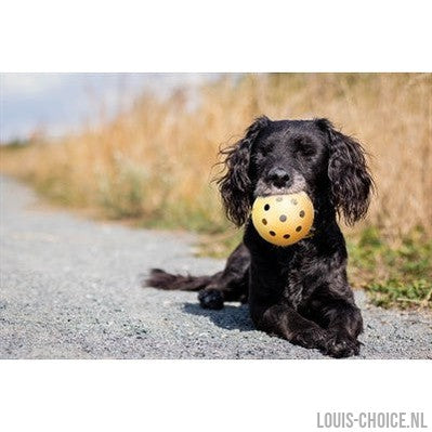 Trixie Gatenbal Natuurrubber Met Bel Voor Blinde Of Gehandicapte Hond-TRIXIE-Louis Choice