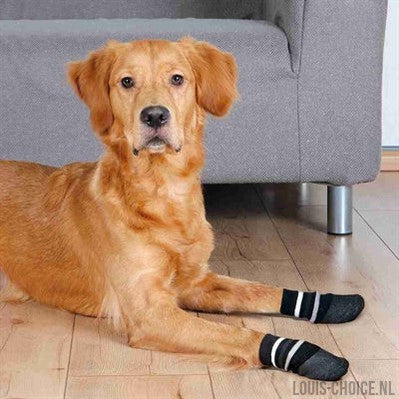 Trixie Hondensokken Anti-Slip Met Rubberlaag Rondom Zwart-TRIXIE-Louis Choice