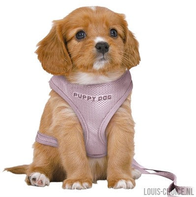Trixie Hondentuig Junior Puppy Softtuig Met Riem Lila-TRIXIE-Louis Choice