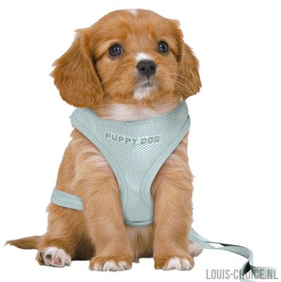 Trixie Hondentuig Junior Puppy Softtuig Met Riem Mintgroen-TRIXIE-Louis Choice