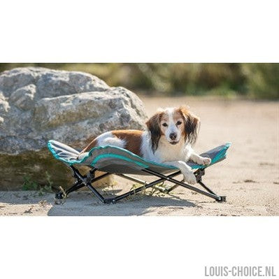 Trixie Stretcher Voor Hond Donkergrijs / Petrol-TRIXIE-Louis Choice