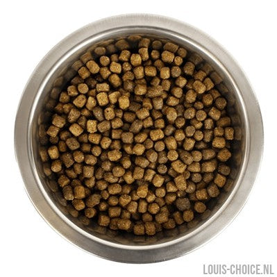 Yourdog Koningspoedel Pup-YOURDOG-Louis Choice