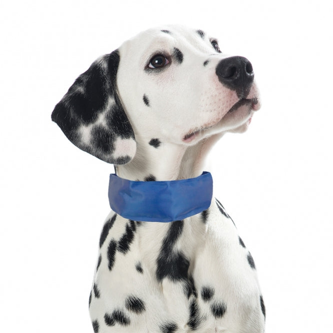 PROCYON Koel-Bandana voor Honden - M