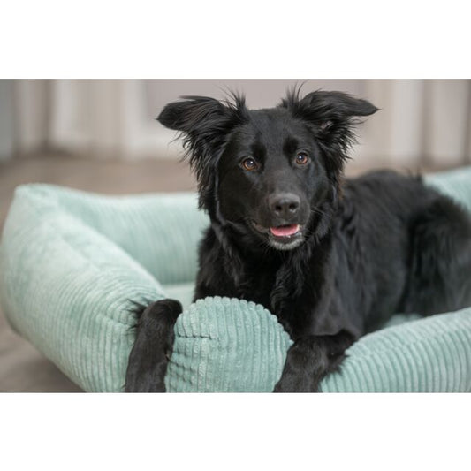 Trixie Vital Bed Jonna - saliegroen - 100 × 70 cm
